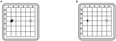 RNAi verifications on olfactory defects of an essential biocontrol agent Agasicles hygrophila (Coleoptera: Chrysomelidae) regarding mating and host allocation